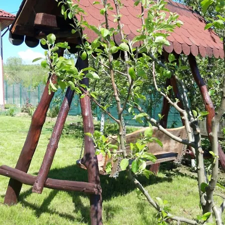 La Casa Boierului *