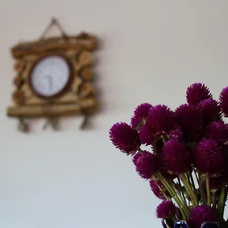 La Casa Boierului Farm stay