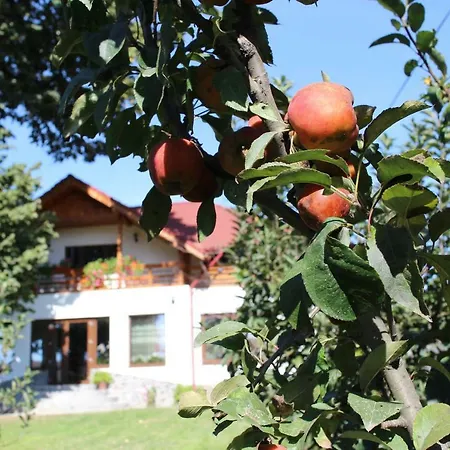 Farm stay La Casa Boierului Catunele