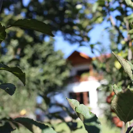 La Casa Boierului